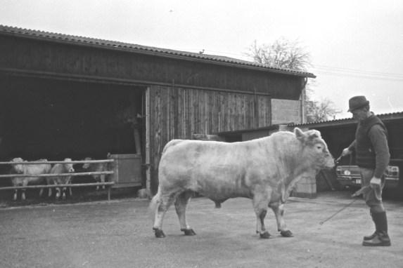 My beautiful picture