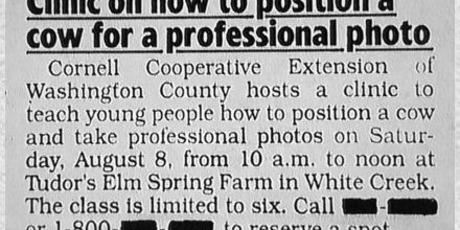 SCCZEN_SideSwipeCow_position_460x231