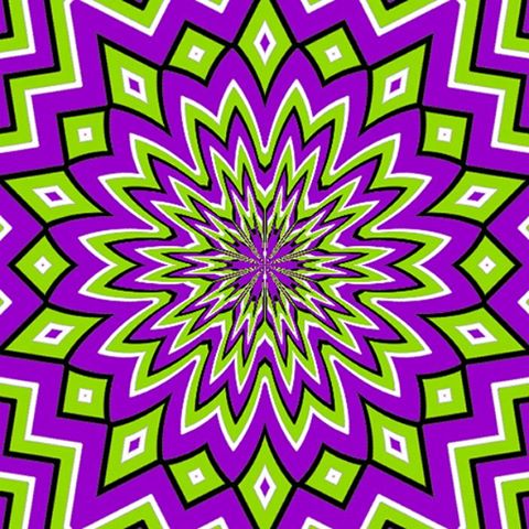 527026_10151121779899357_284997216_n