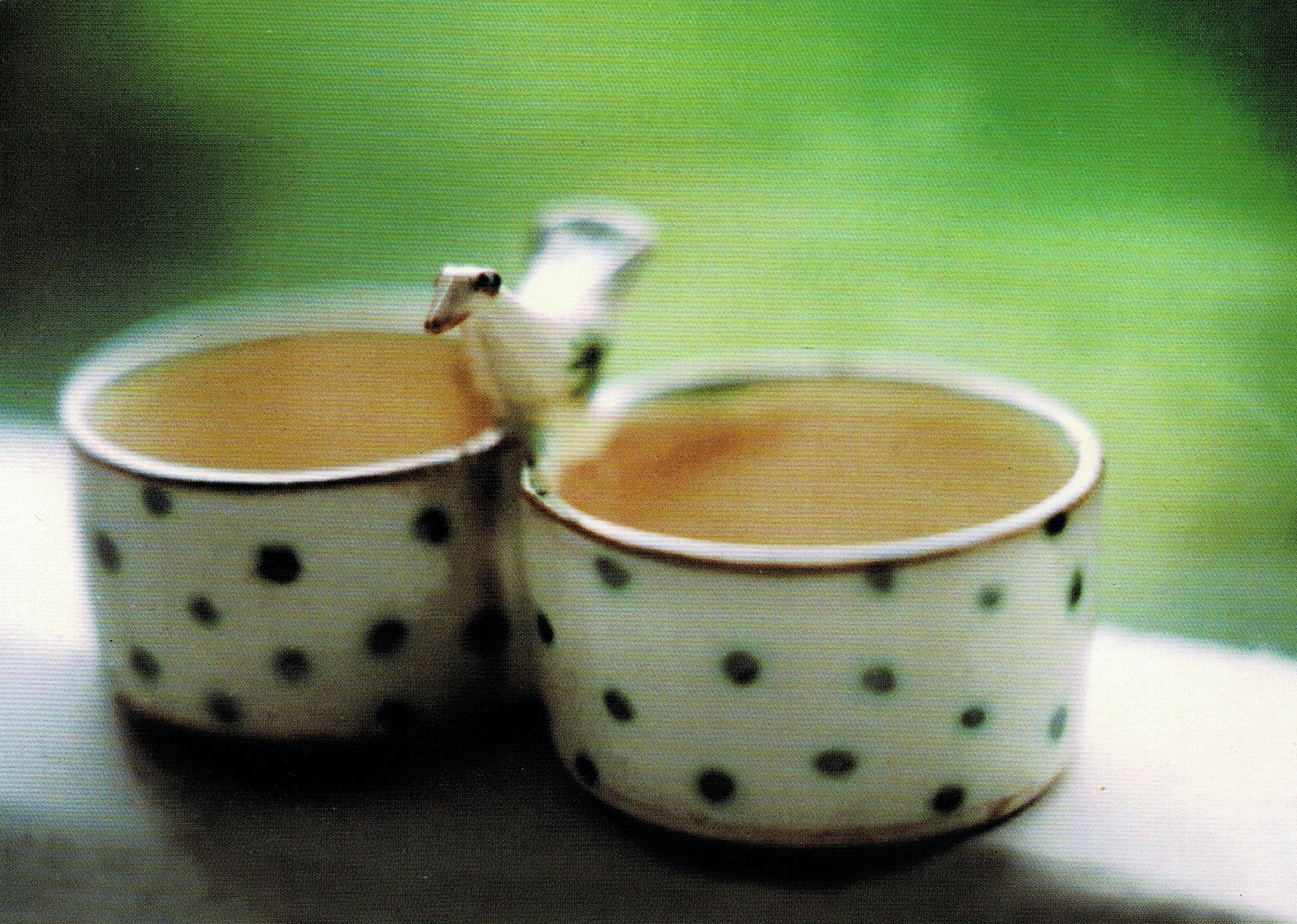 Scan2020-04-19_180027